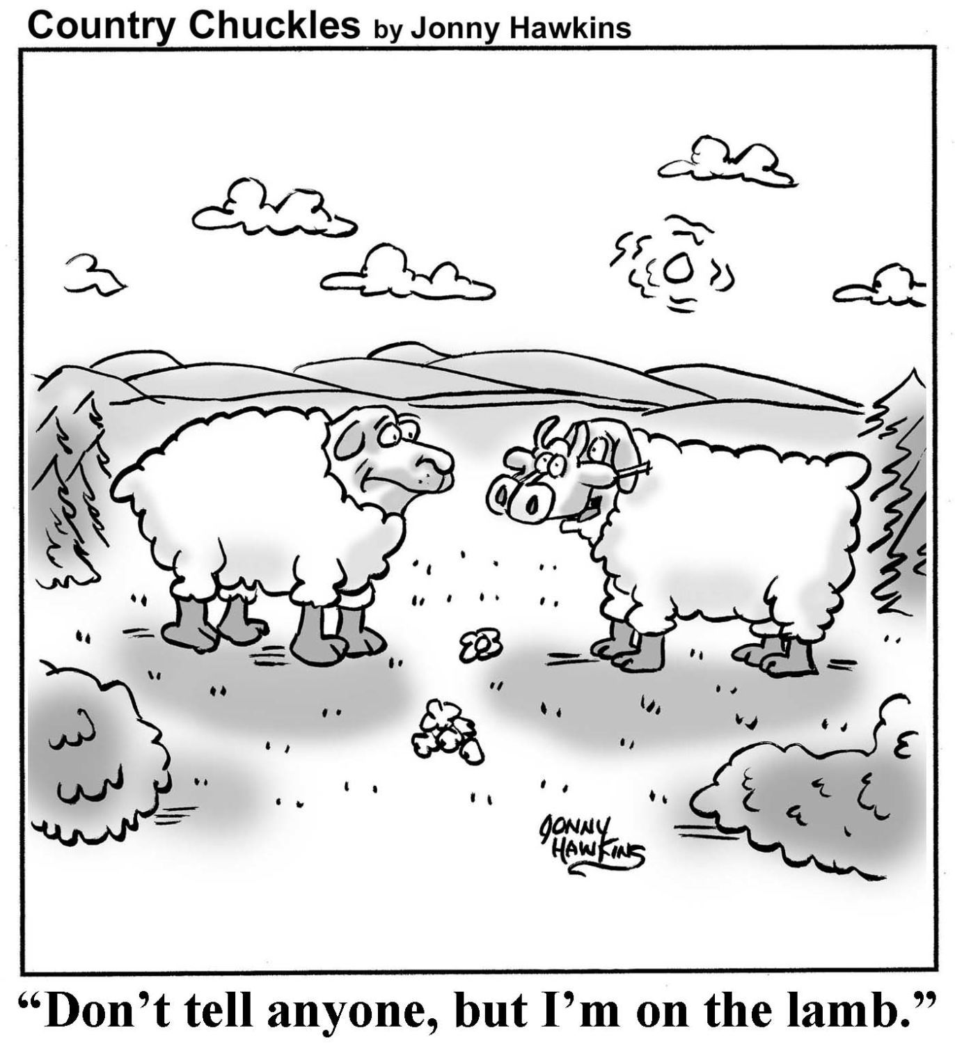 Country Chuckles by Jonny Hawkins